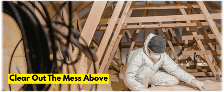 Attic Cleaning Wellington FL