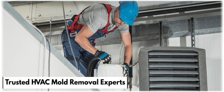 HVAC Mold Removal Wellington FL